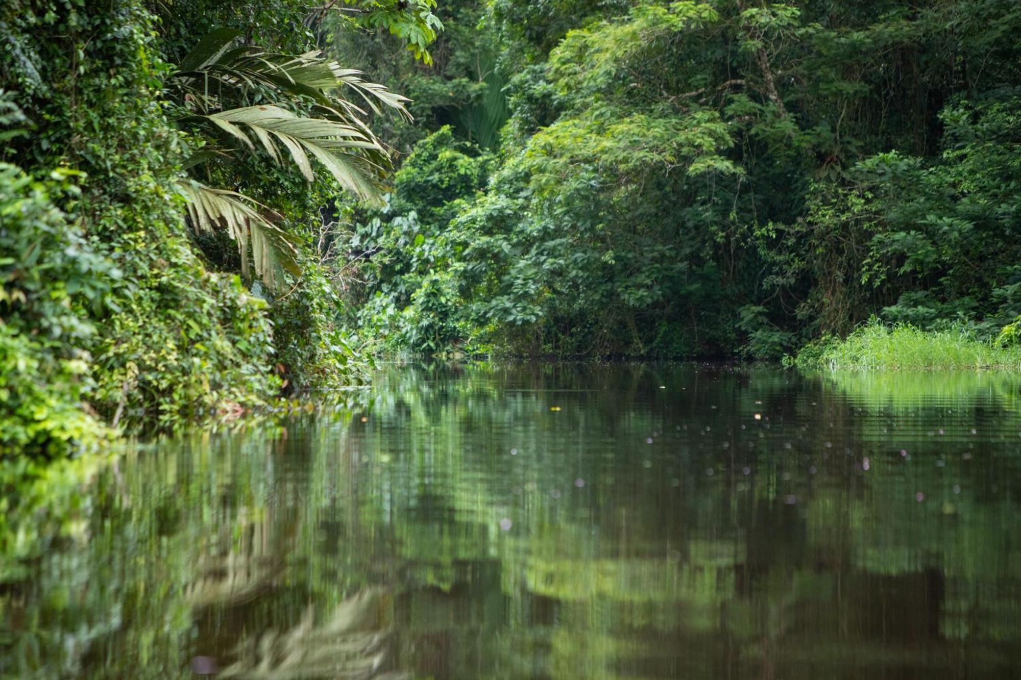 Pachira Lodge Tortuguero Exterior foto