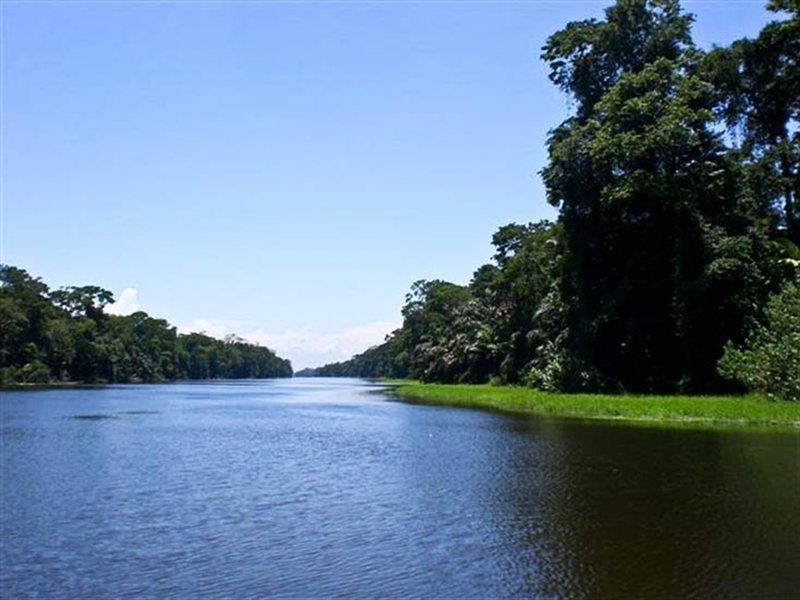 Pachira Lodge Tortuguero Exterior foto