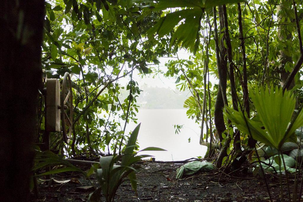 Pachira Lodge Tortuguero Exterior foto
