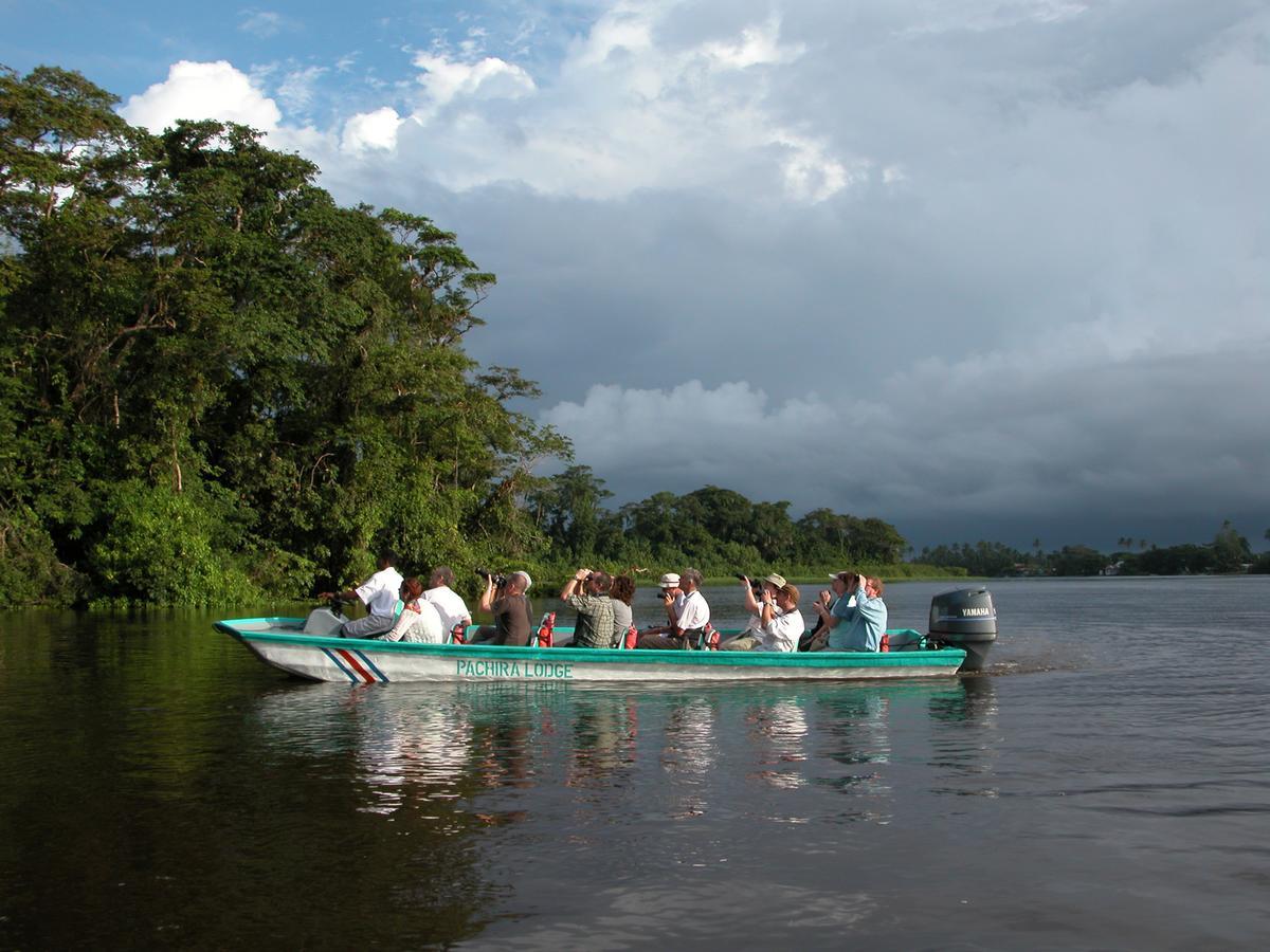 Pachira Lodge Tortuguero Exterior foto