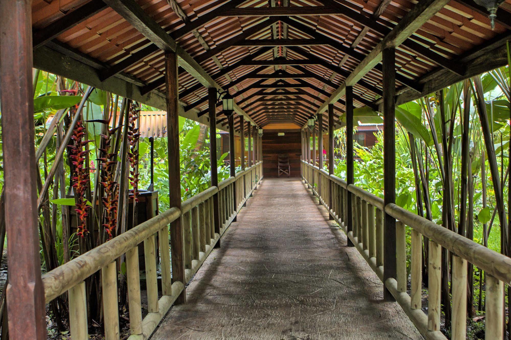 Pachira Lodge Tortuguero Exterior foto